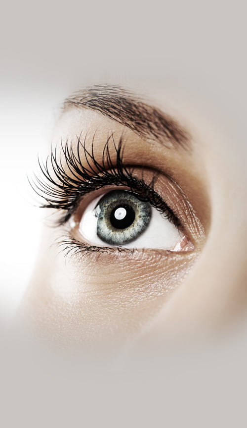 eyelash-tint-and lift-seemas-spa